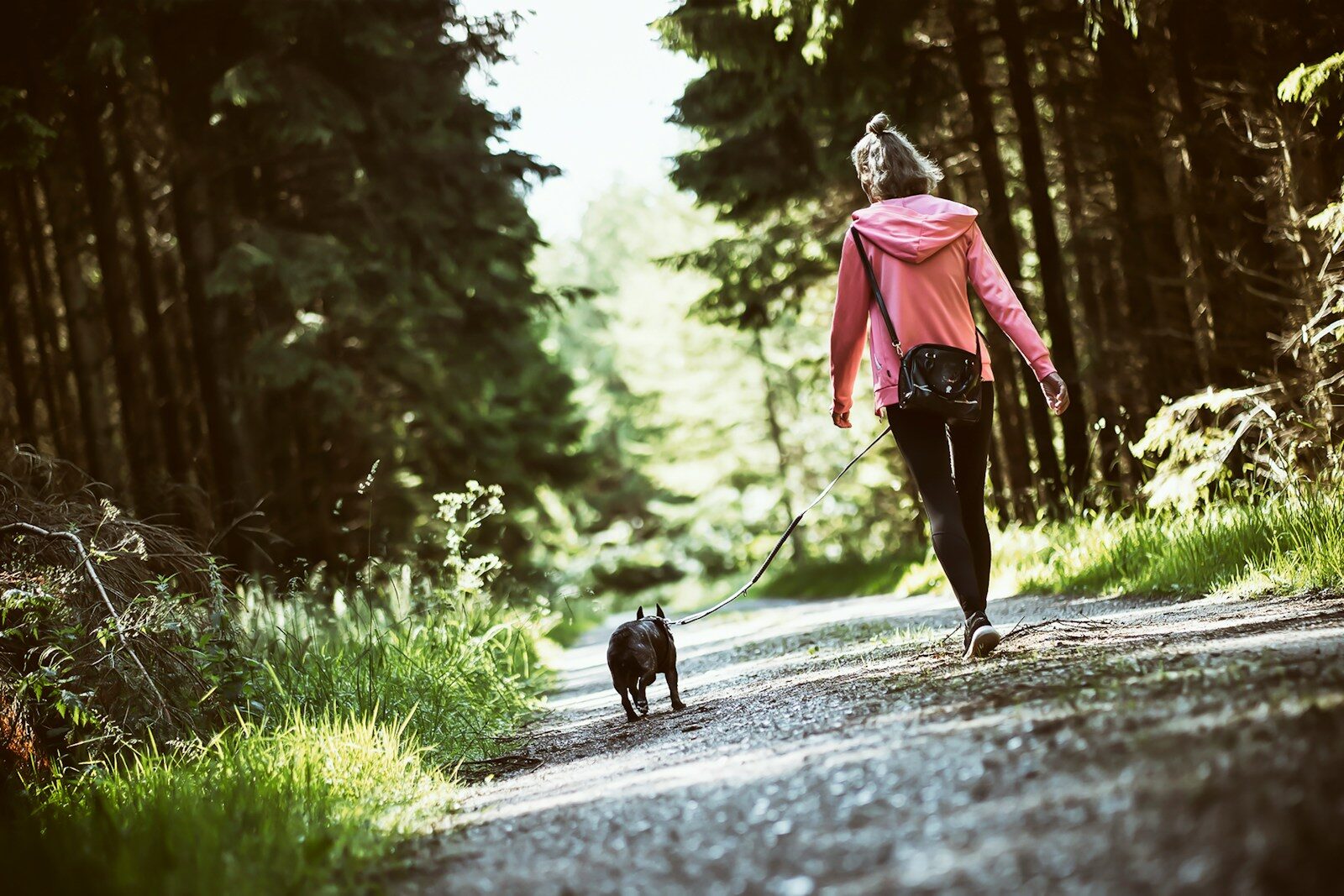 Daily Walking Benefits